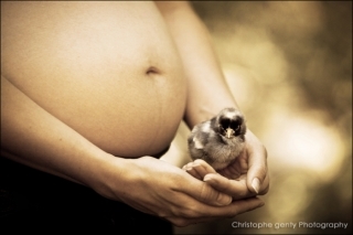 Napa Pregnancy photography