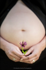 Napa Pregnancy photography