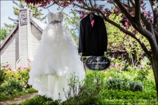 Lavender inn, yountville - Jodi & Darius' Elopement