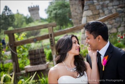 Castle Di Amorosa - Jodi & Darius' Elopement