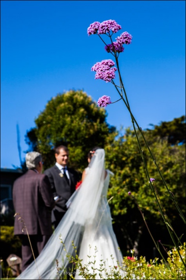 Medocino Elopement Photography at the Albion Inn - Michelle & Eugene