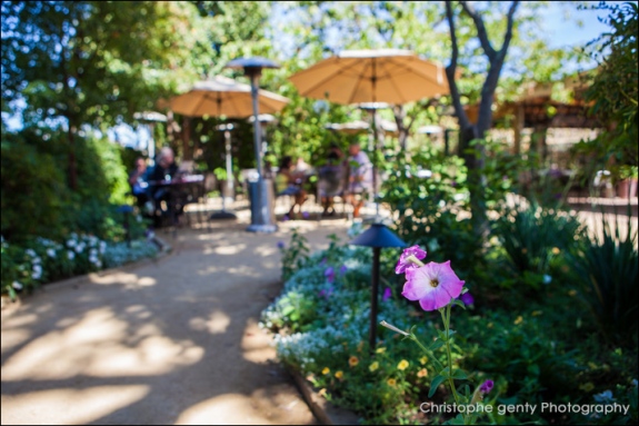 Goose and Gander Restaurant - St Helena