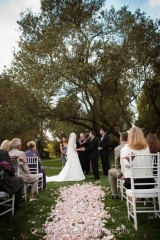 Napa-wedding-photography--0387