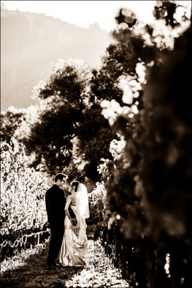 Napa Wedding Photography at Brix Restaurant in Napa - Karine & Ted