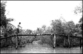 Mekong Delta - Vietnam, 2000