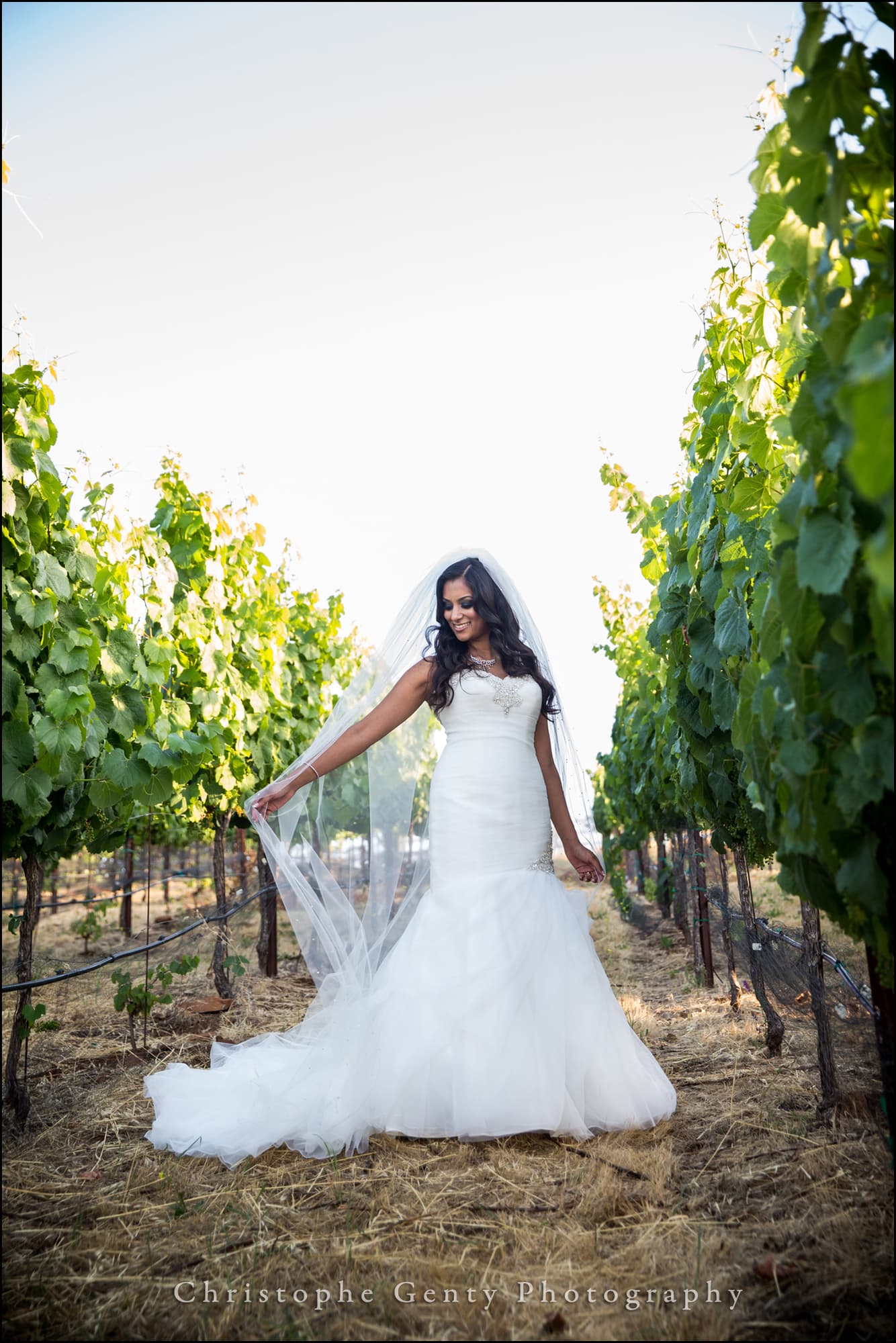 Wedding Photography at The Meritage, Napa, Ca