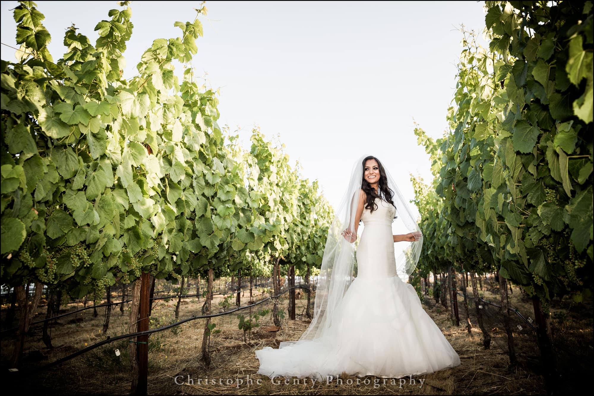 Wedding Photography at The Meritage, Napa, Ca