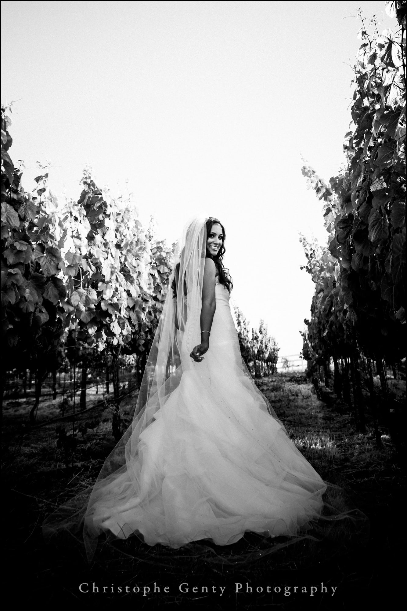 Wedding Photography at The Meritage, Napa, Ca