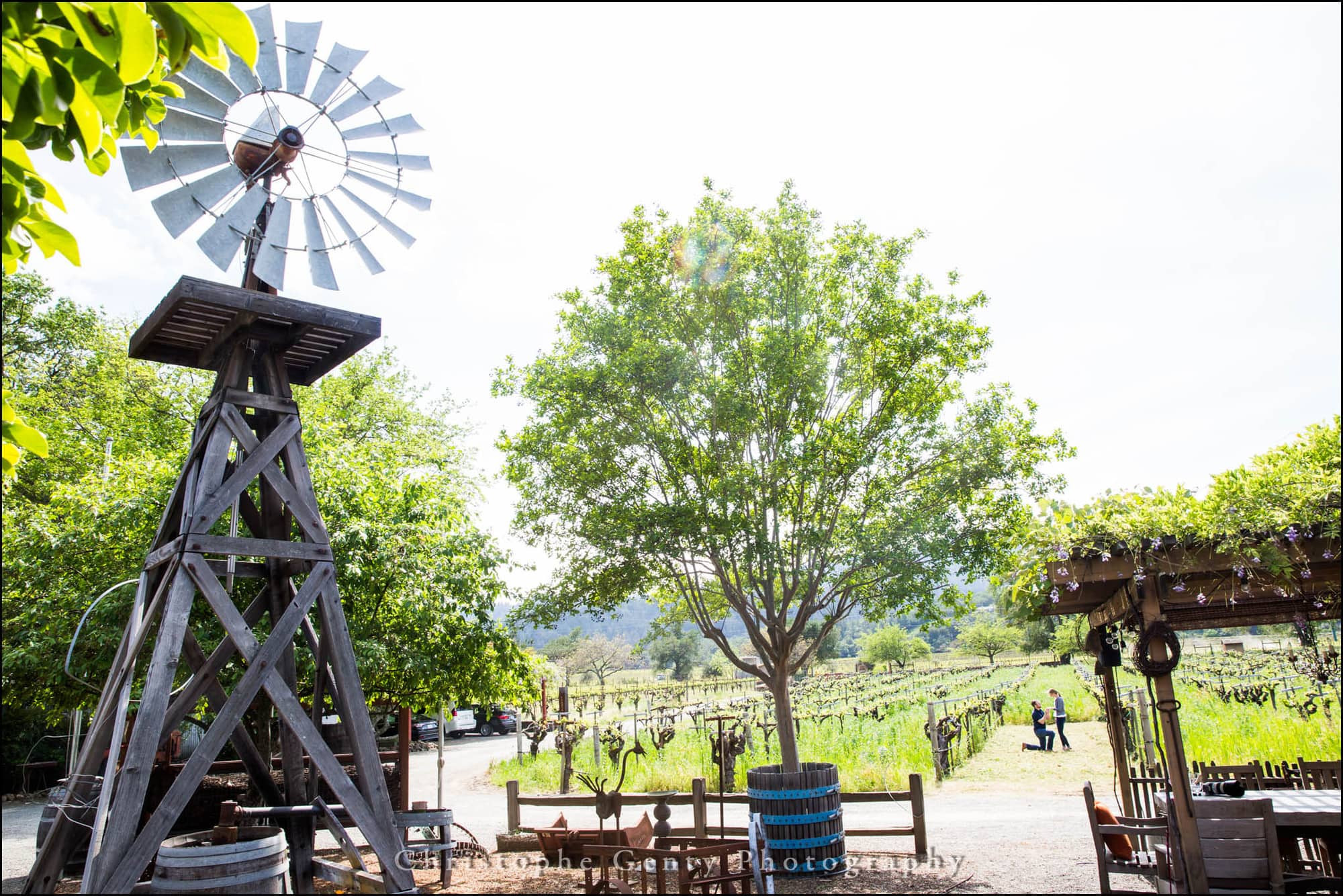 Best Proposal wineries in the Napa Valley
