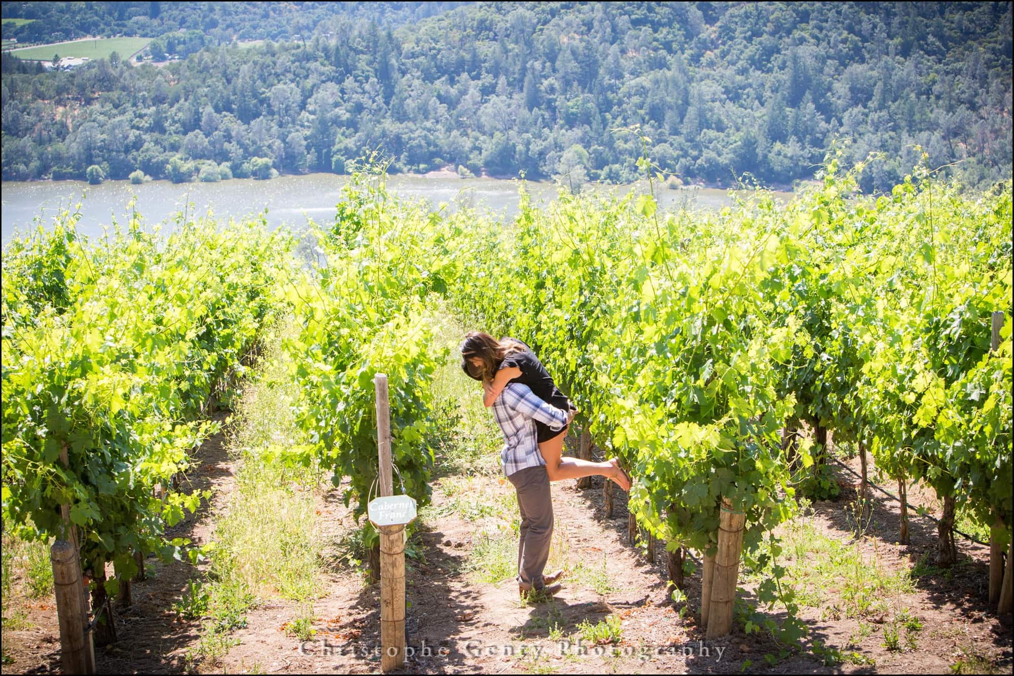 Marriage Proposal Photography in The Napa Valley