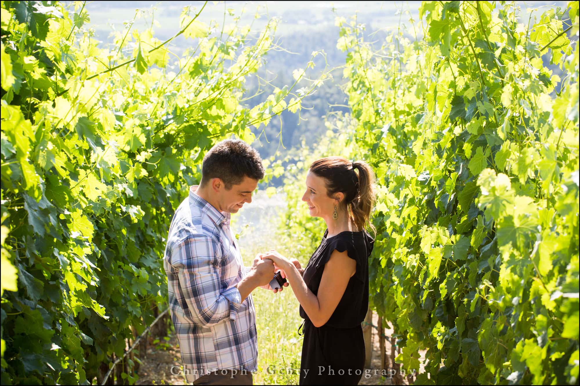 Marriage Proposal Photography in The Napa Valley