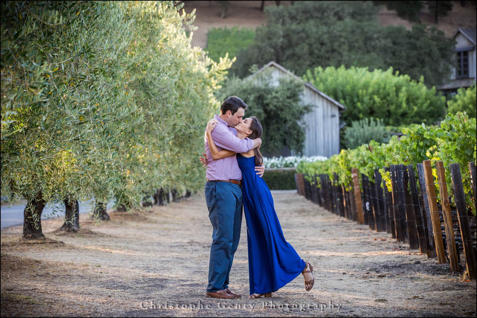 Marriage Proposal Photography at Meadowood Napa Valley