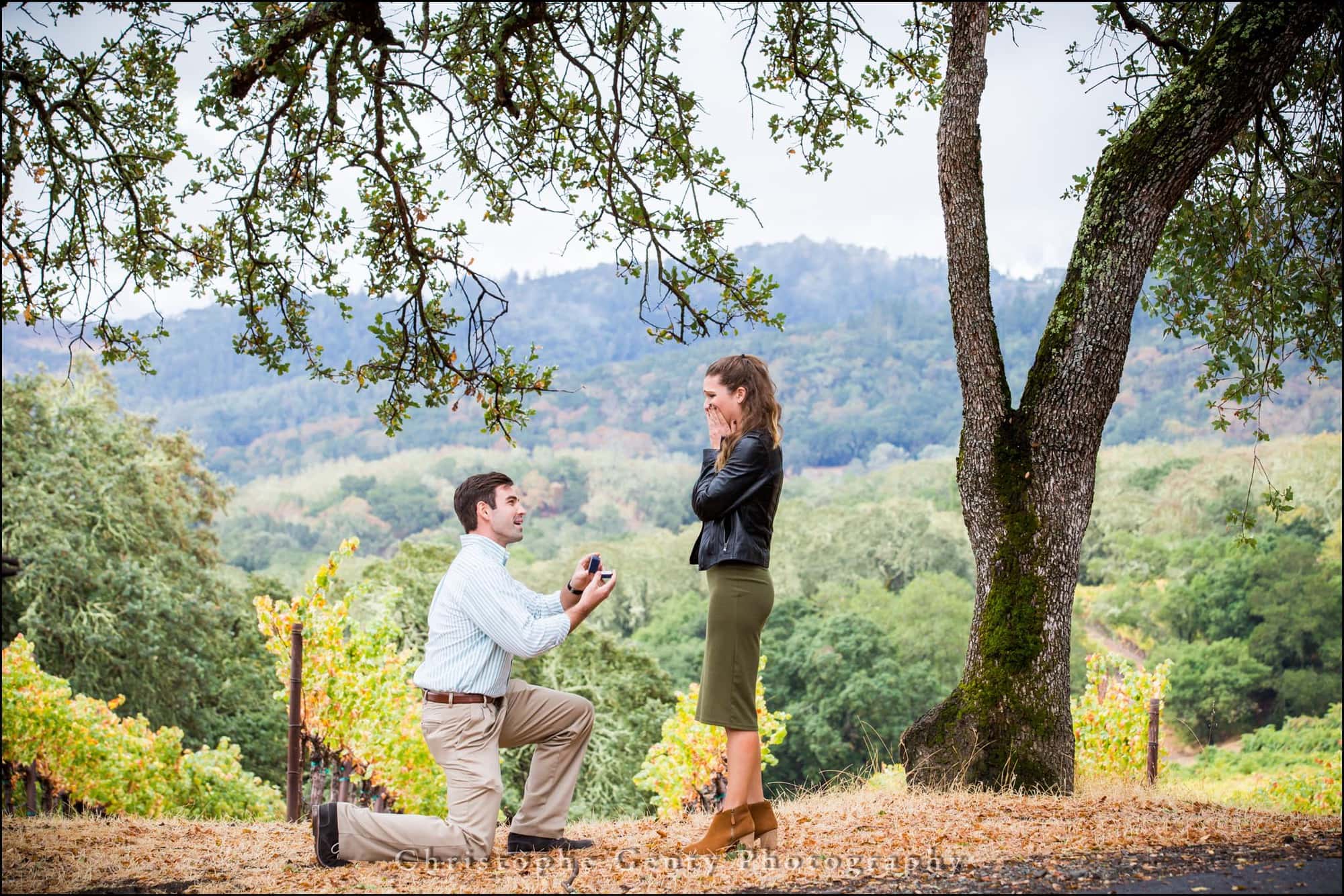 Marriage Proposal Photography in The Napa Valley - Buehler Vineyards, St Helena, CA