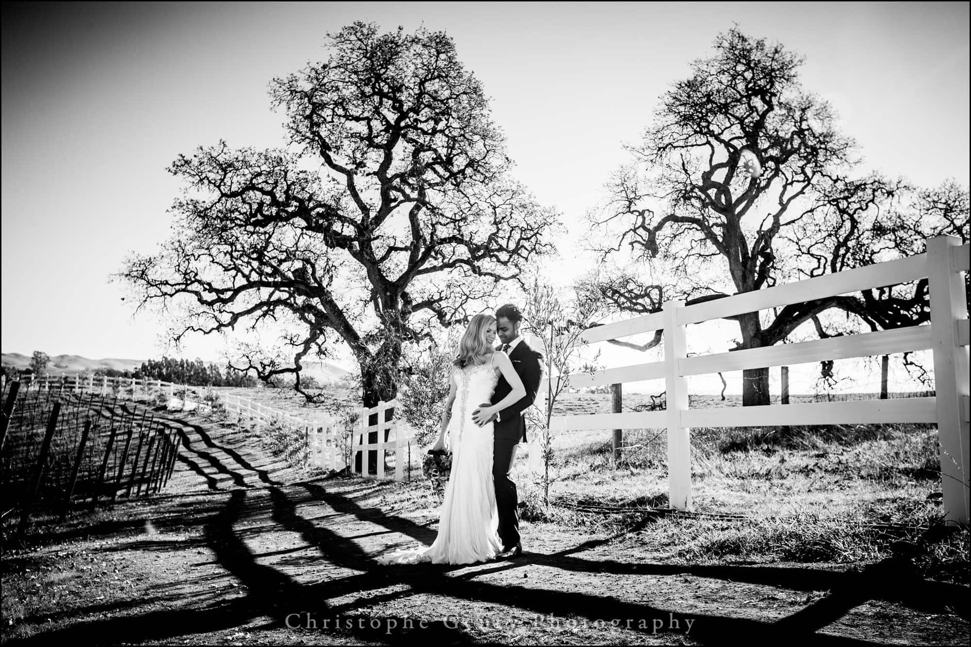 Wedding Photography at The Meritage Resort and Spa