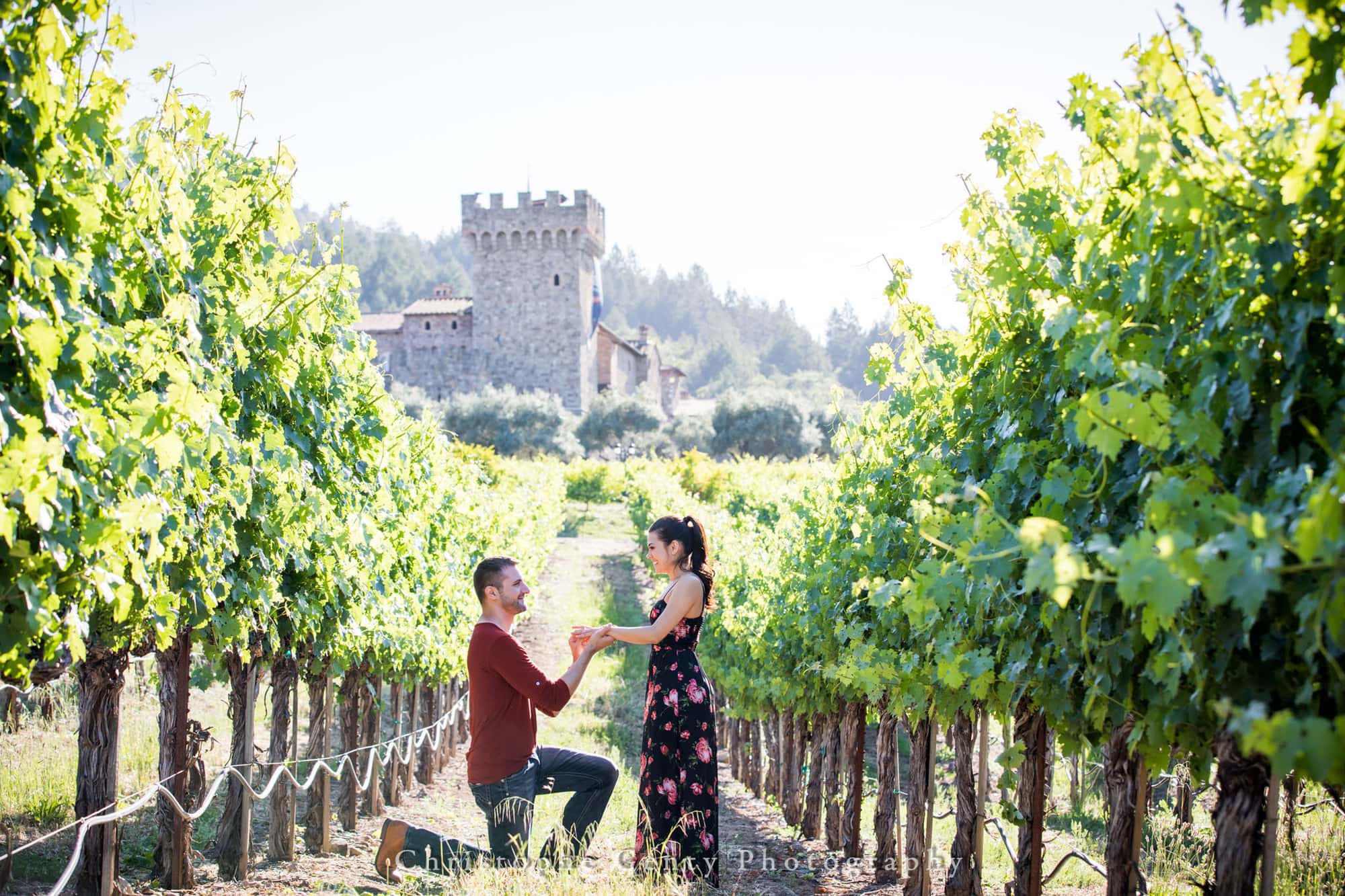 Castello di Amorosa Marriage Proposal Photography 317