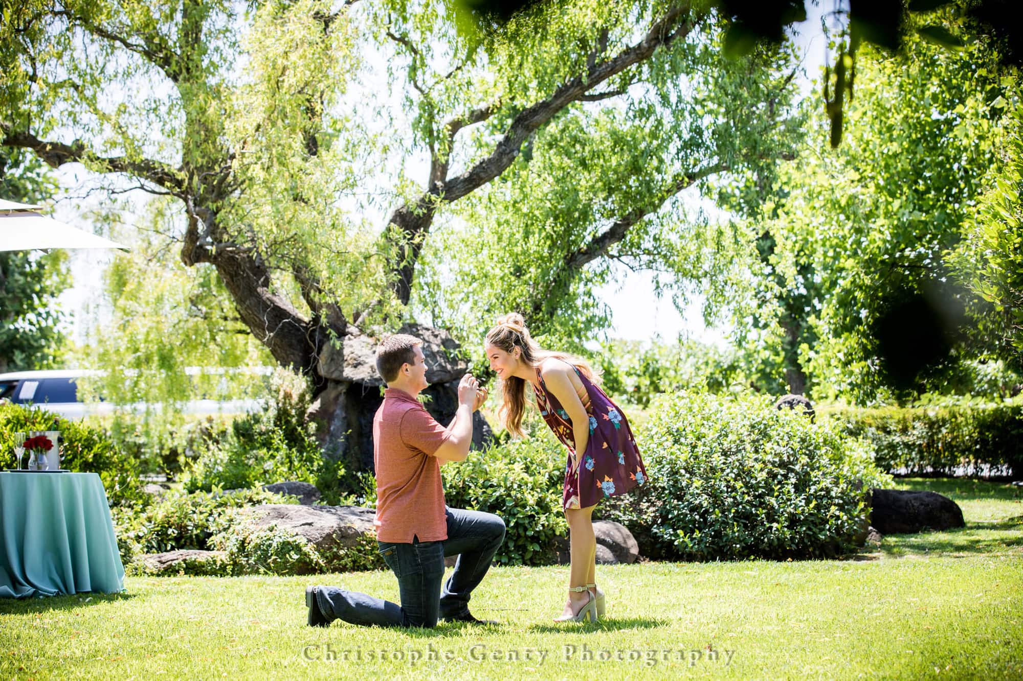 Marriage Proposal Photography at Peju Province Winery in Rutherford, California