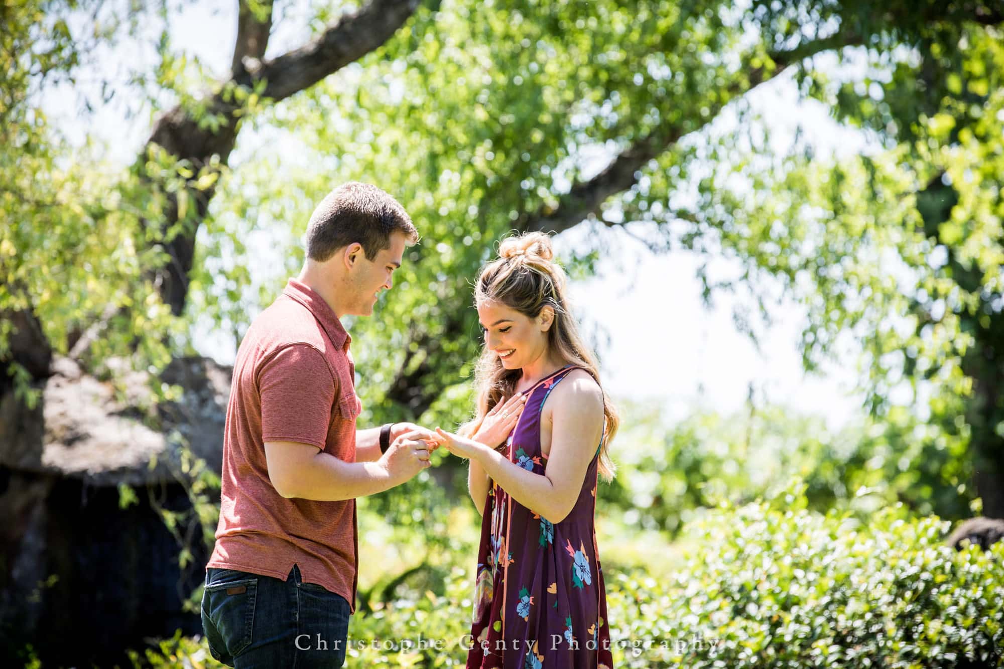 Proposal at Peju Province Winery in Rutherford, California