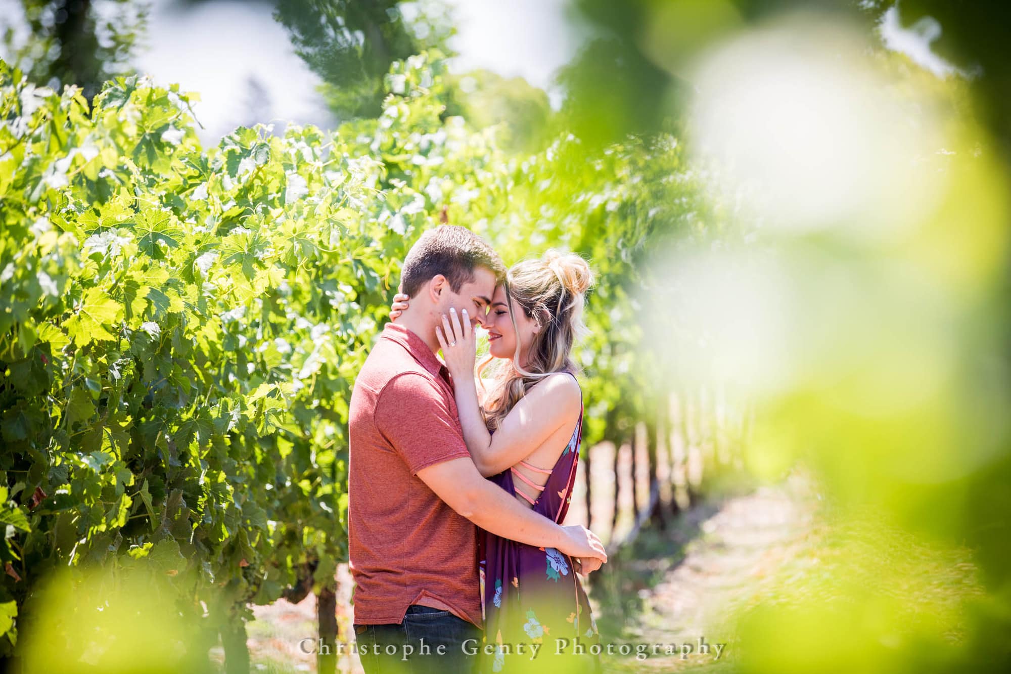 Marriage Proposal Photography at Peju Province Winery, St Helena, CA