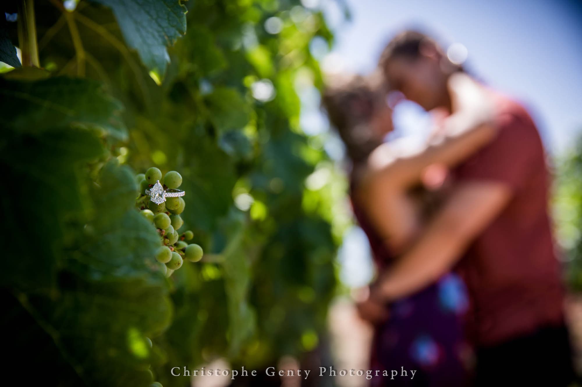 Marriage Proposal Photography at Peju Province Winery, St Helena, CA