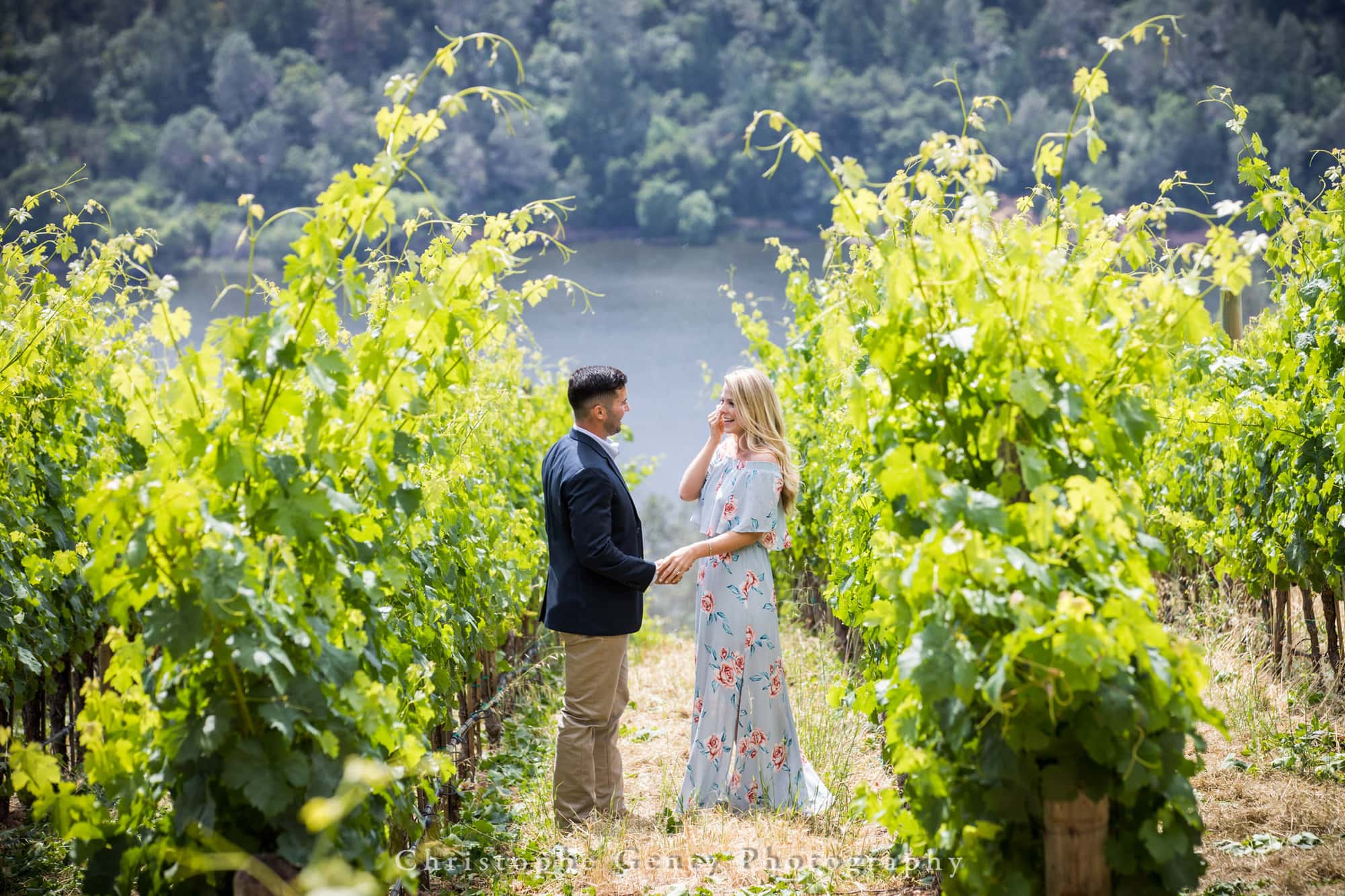 Marriage Proposal Photography in Napa -1005