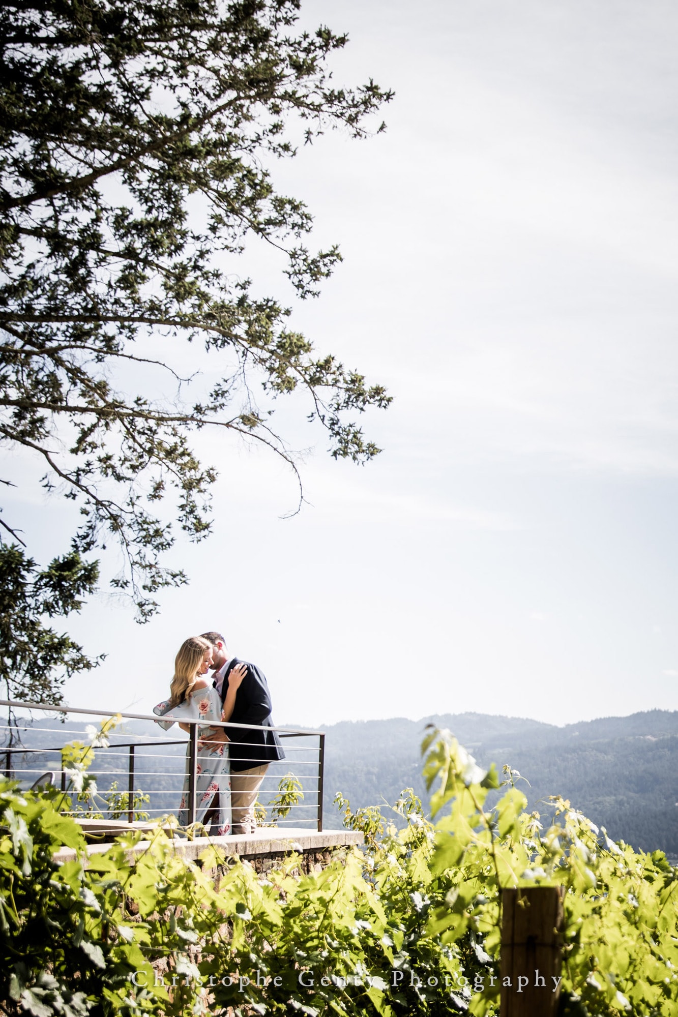 Marriage Proposal Photography in Napa -1039
