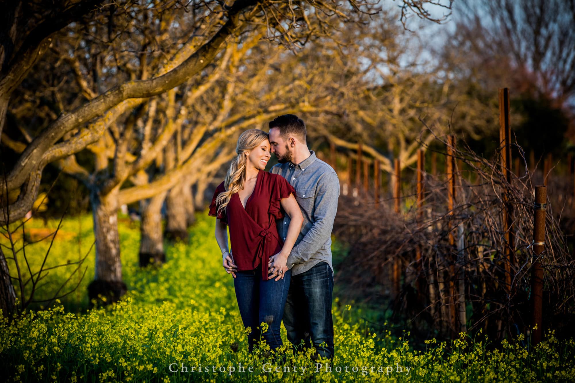 Engagement Photography in Napa
