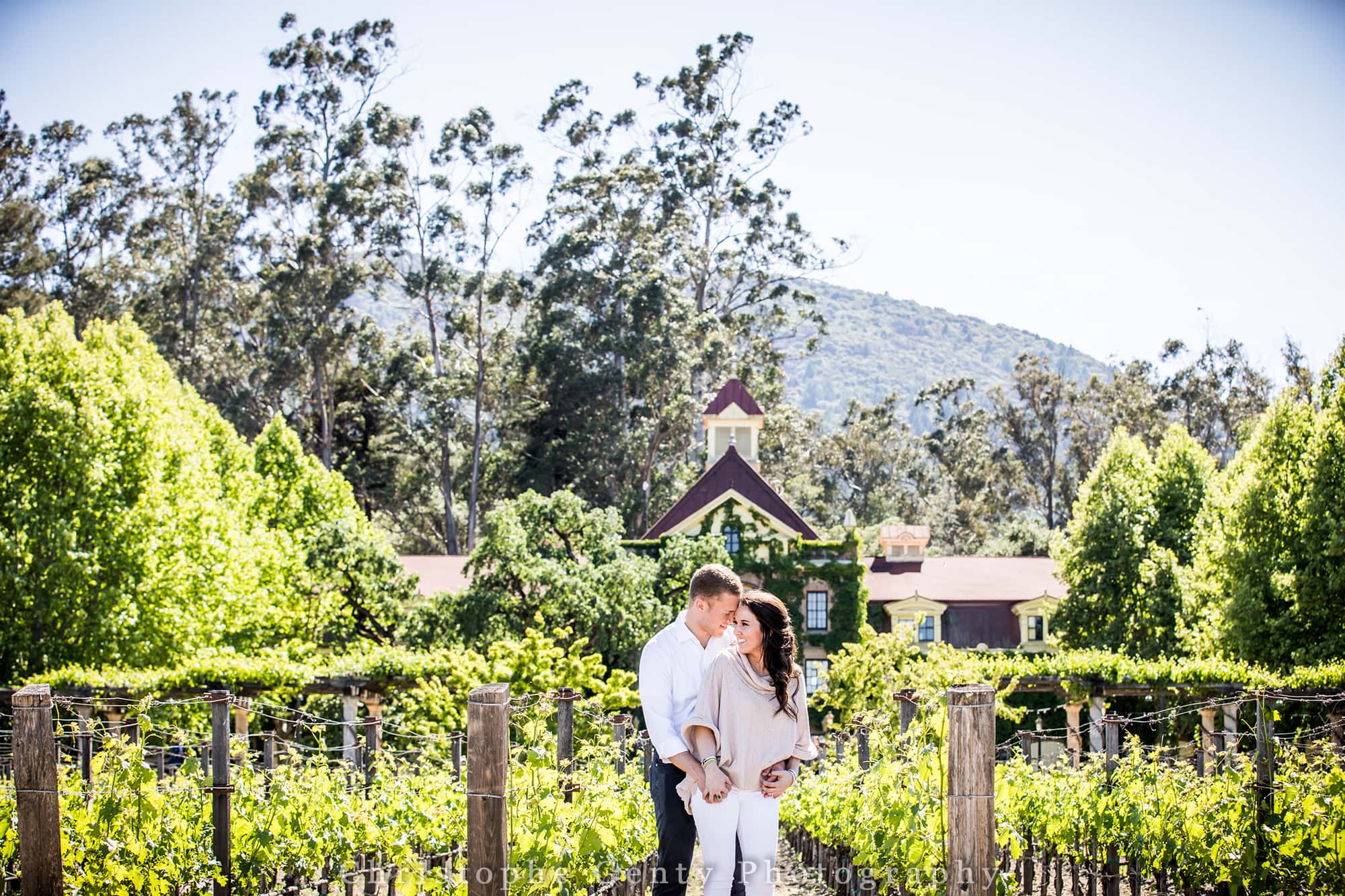 Proposal Photography at Inglenook Winery in Rutherford CA