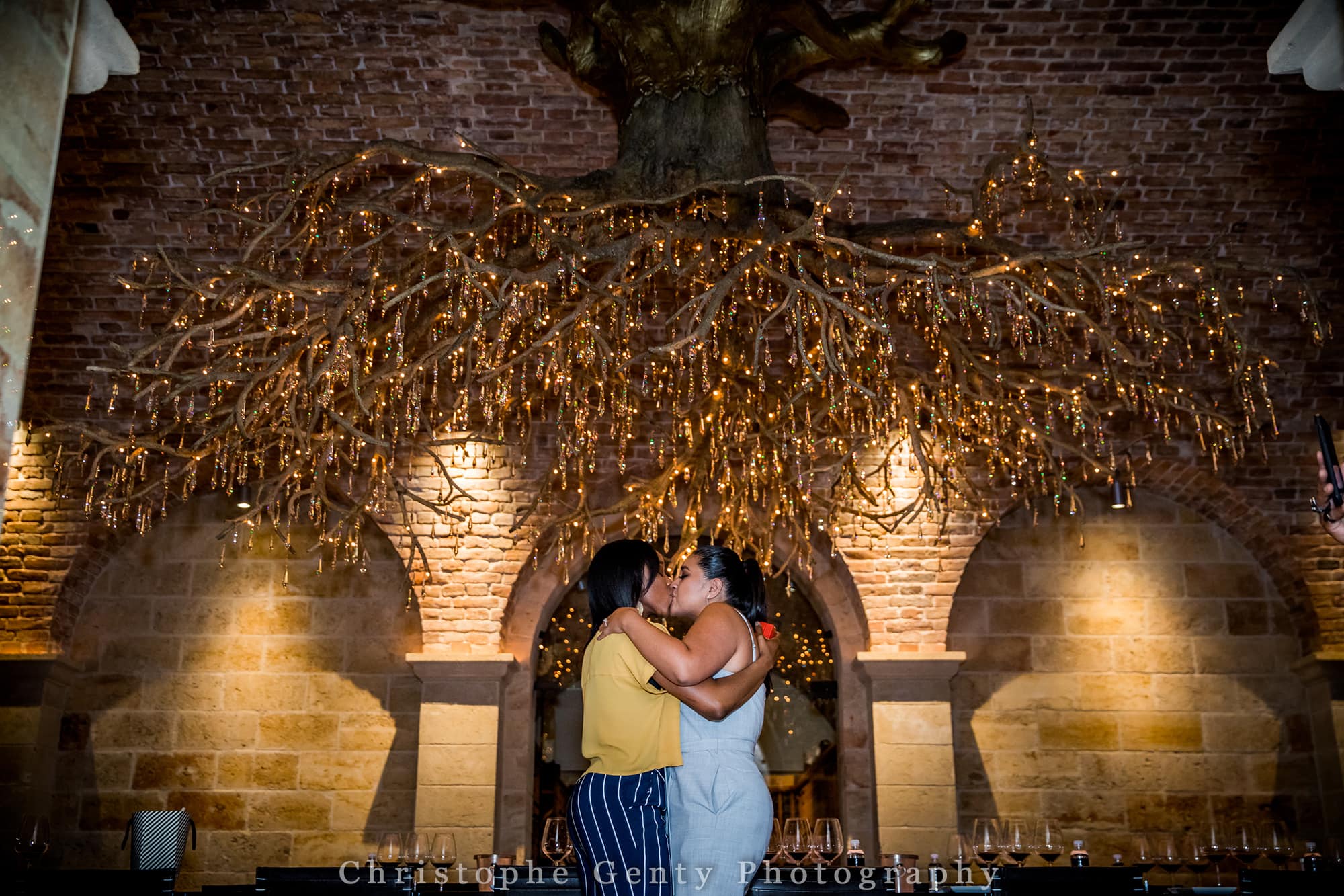 Marriage Proposal Photography in The Napa Valley - Hall Rutherford