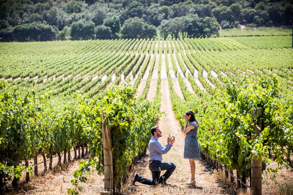 Best proposal wineries in the Napa Valley - Stags Leap Winery, Yountville - CA