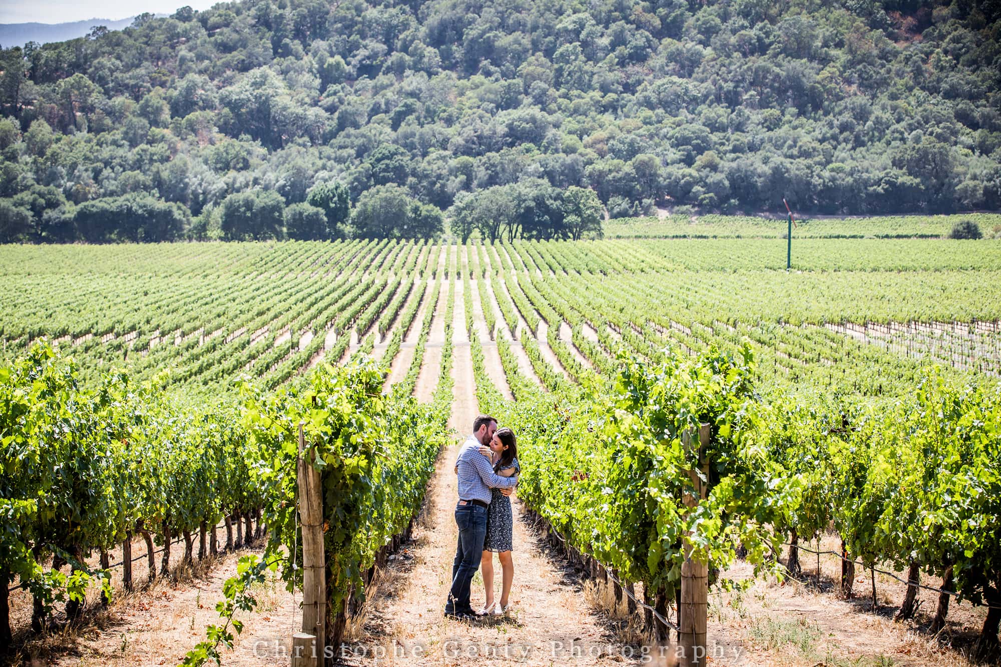 Best Proposal ideas  in the Napa Valley