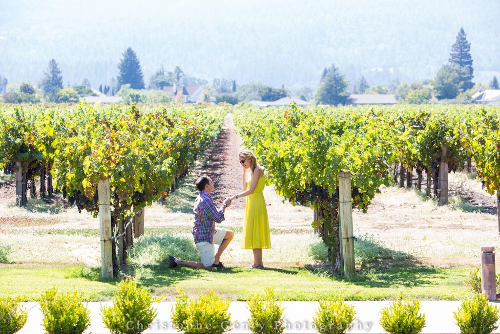 Best wineries to propose in the Napa Valley