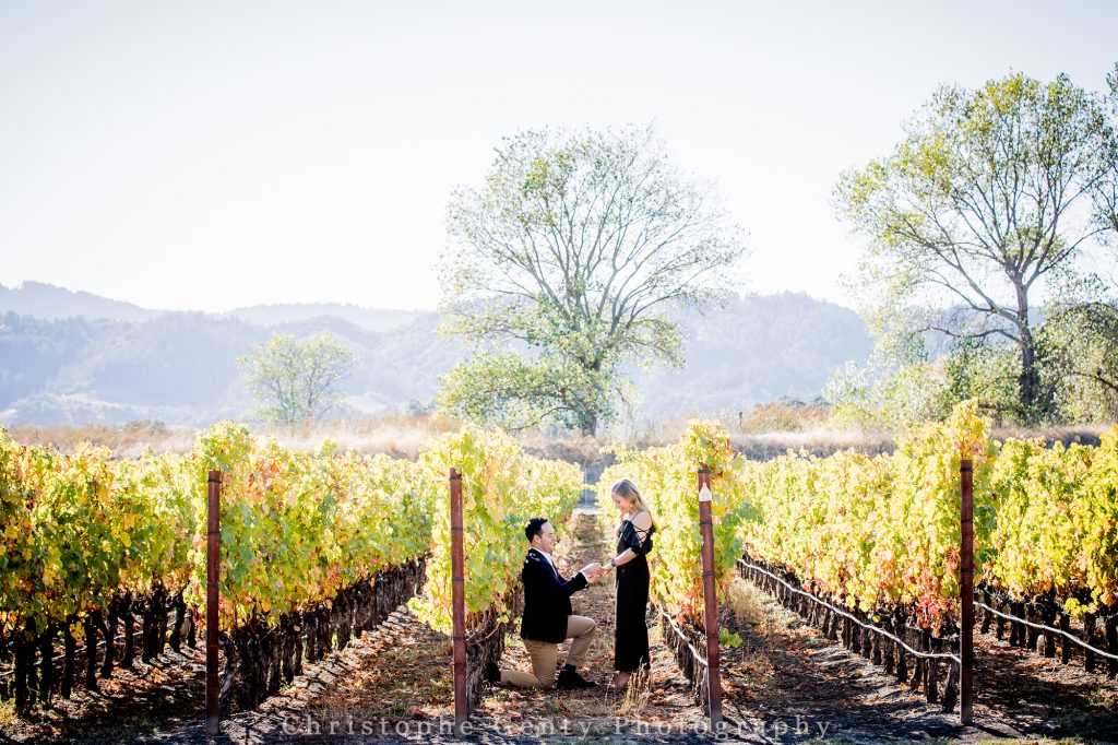 Best wineries to propose in the Napa Valley