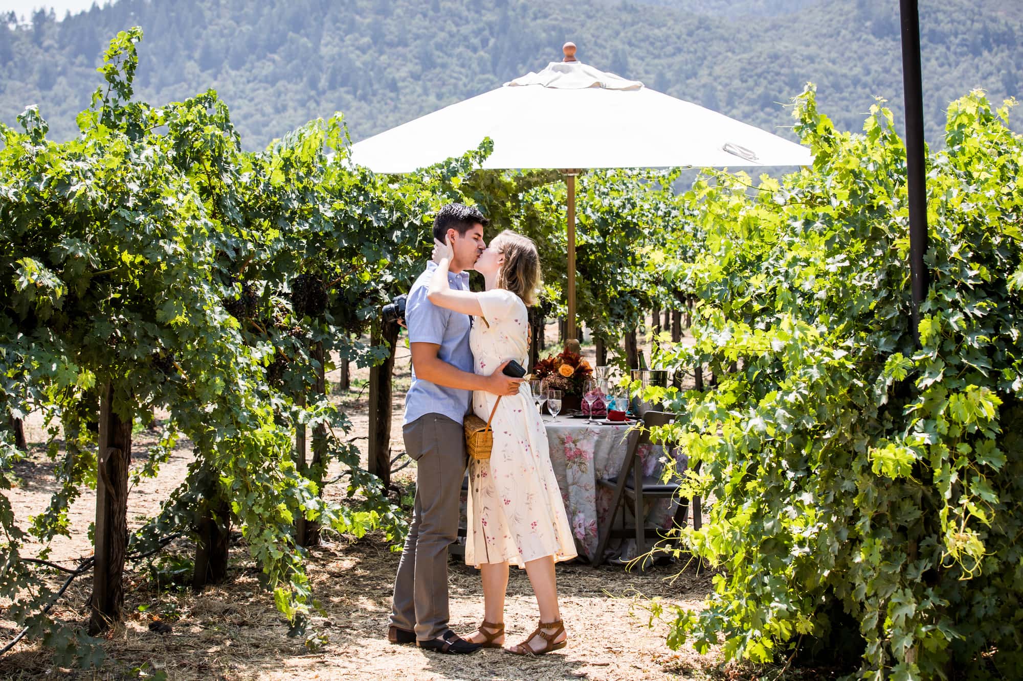 Best Proposal locations - Peju Province Winery, St Helena, CA