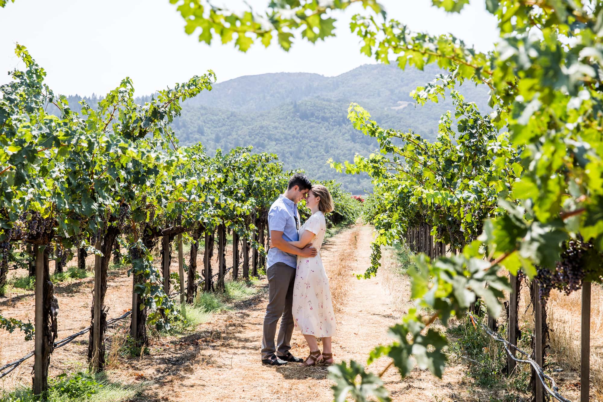 Best Proposal locations - Peju Province Winery, St Helena, CA