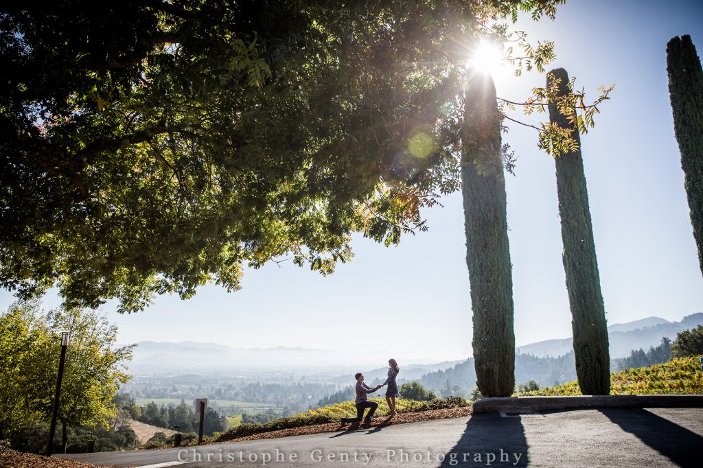 Proposal ideas in the Napa Valley - Newton Winery, St Helena, CA