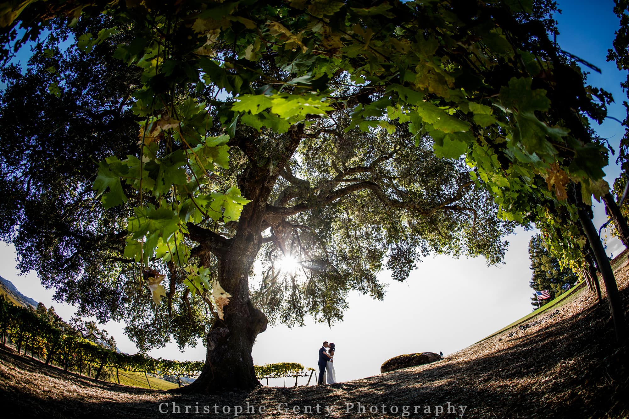 Elopement photography at Robert Young Winery in Geyserville in CA