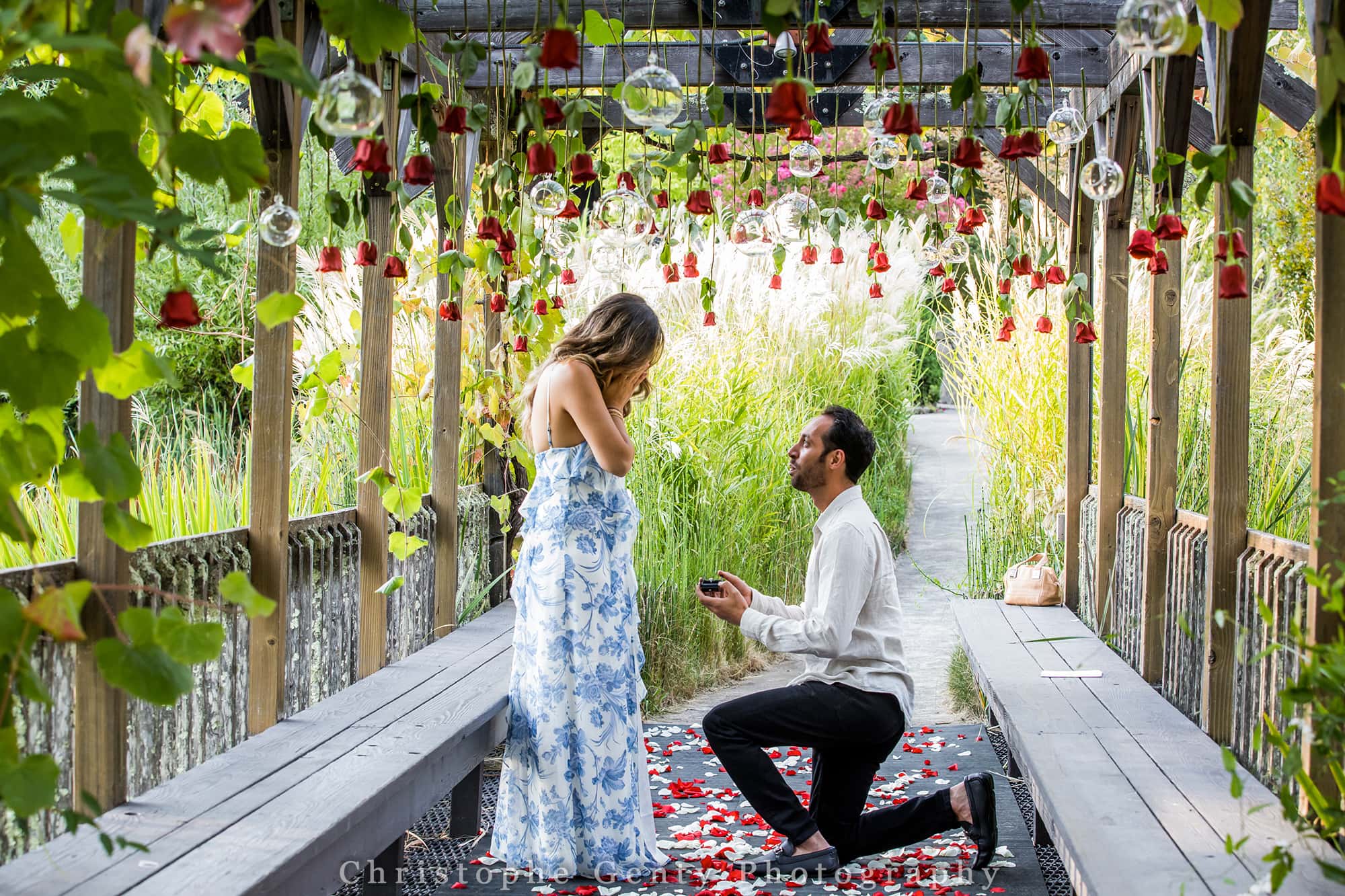 Best Proposal Wineries in The Napa Valley