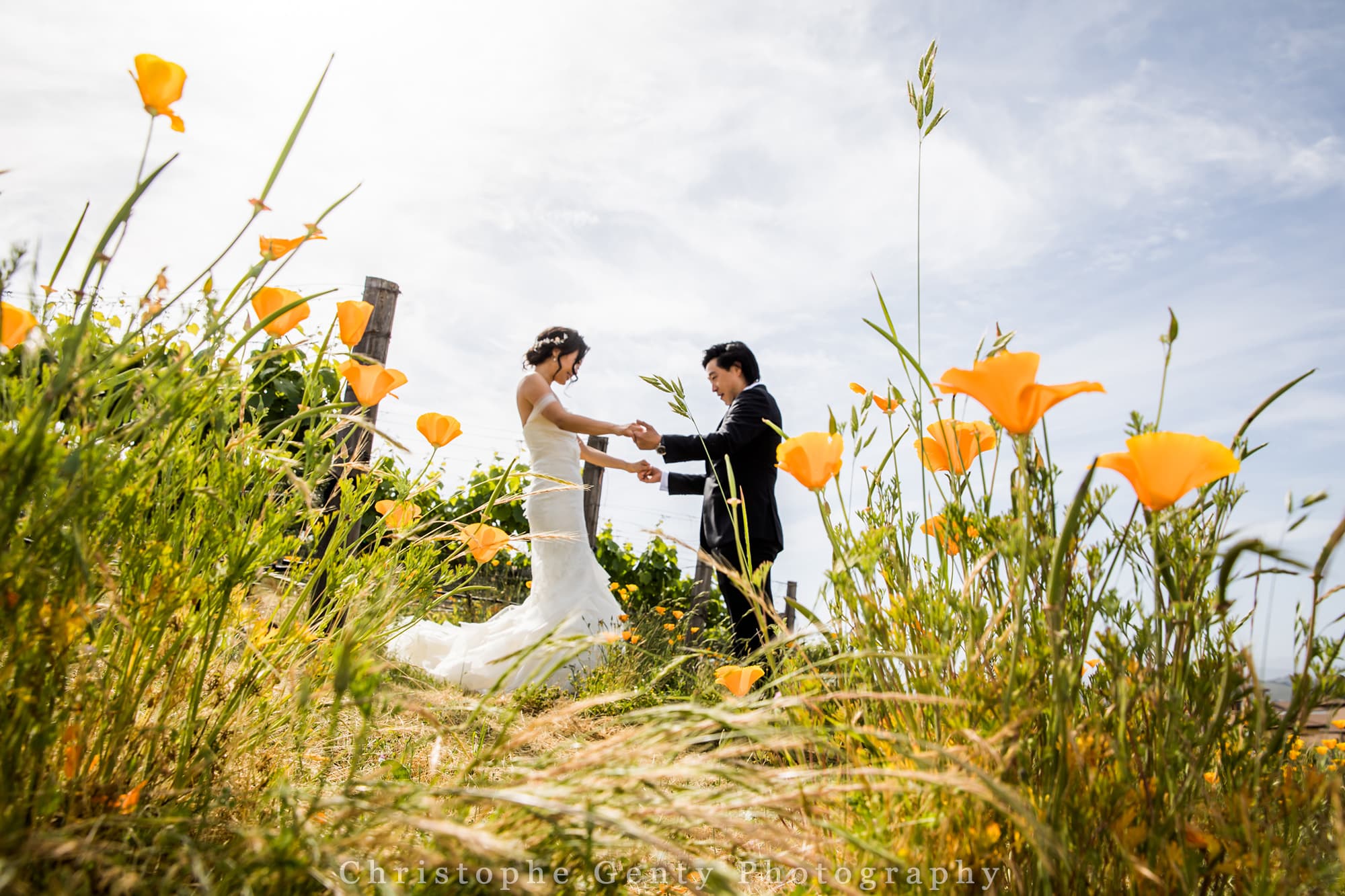 Wedding Photography at The Meritage, Napa, Ca