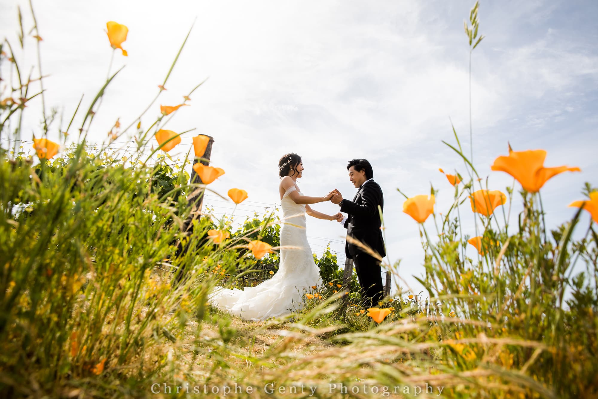 Wedding Photography at The Meritage, Napa, Ca
