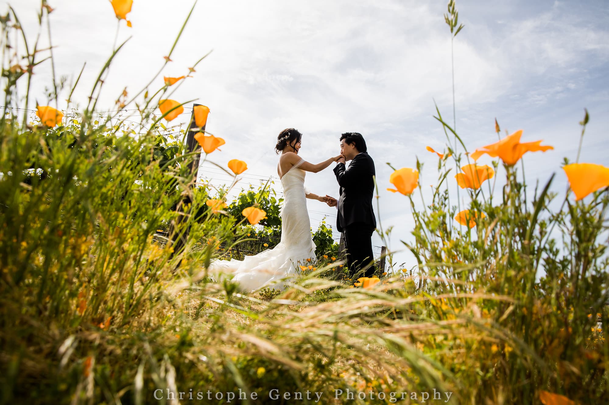 Wedding Photography at The Meritage, Napa, Ca