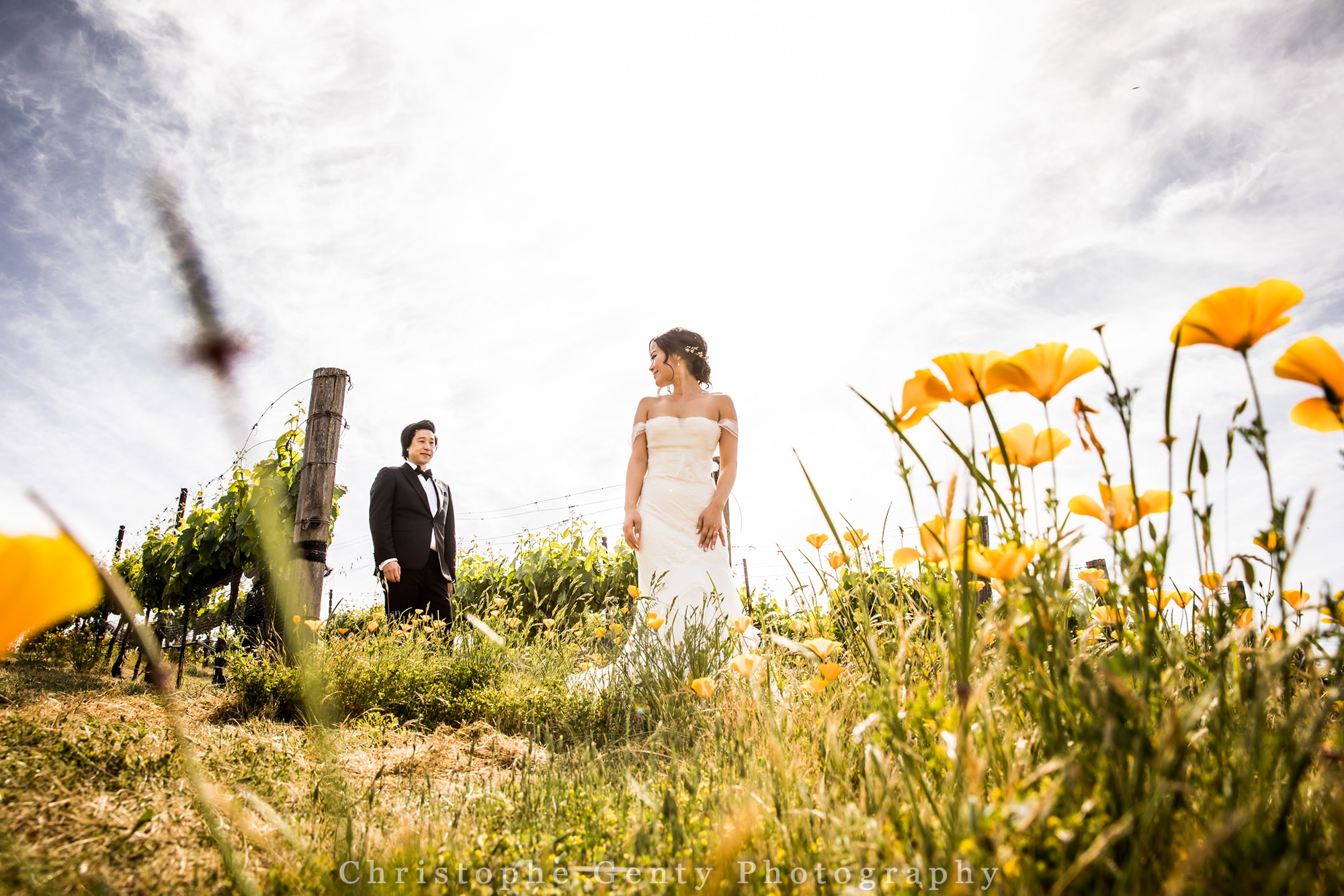 Wedding Photography at The Meritage, Napa, Ca