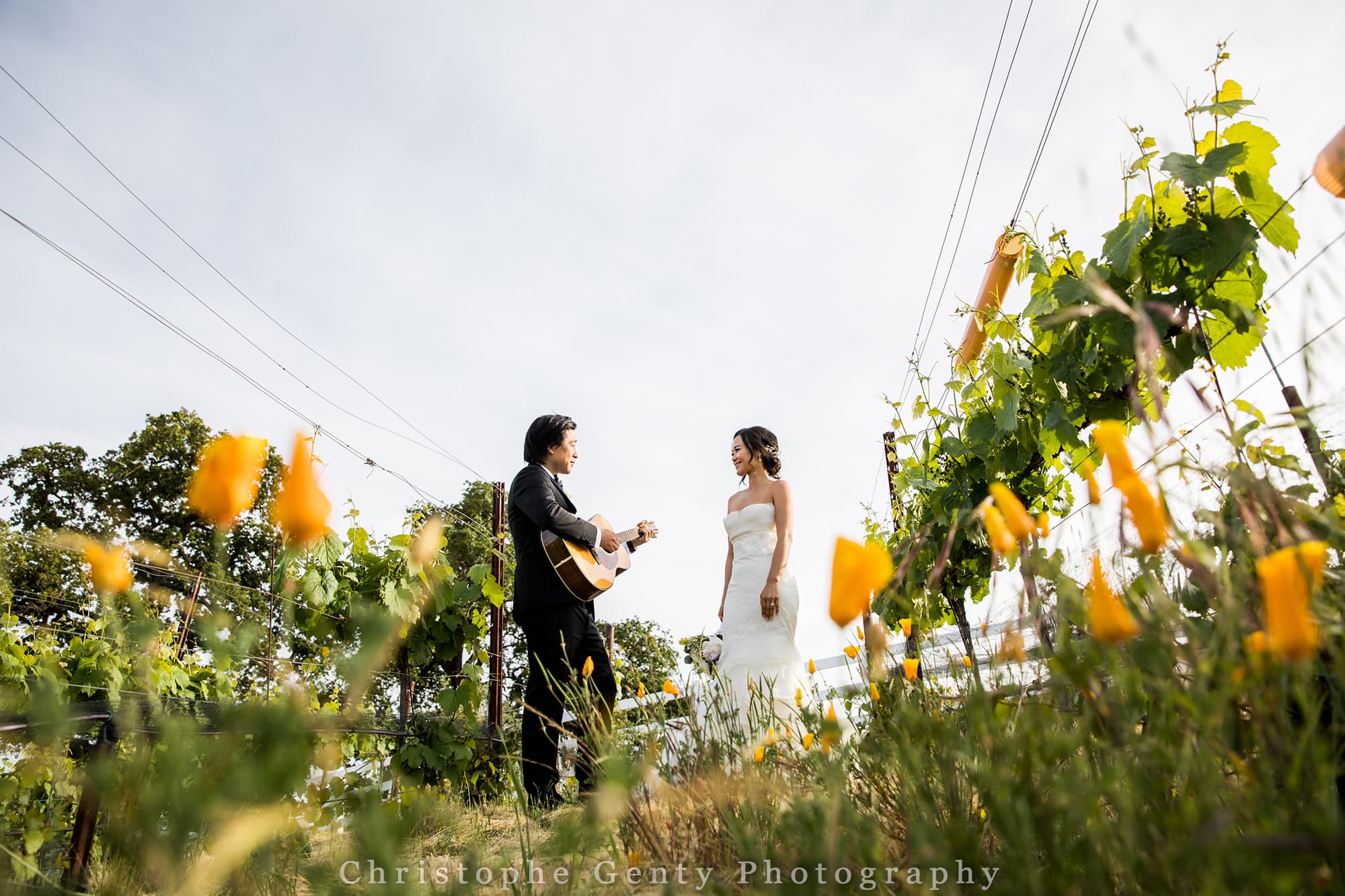 Wedding Photography at The Meritage, Napa, Ca