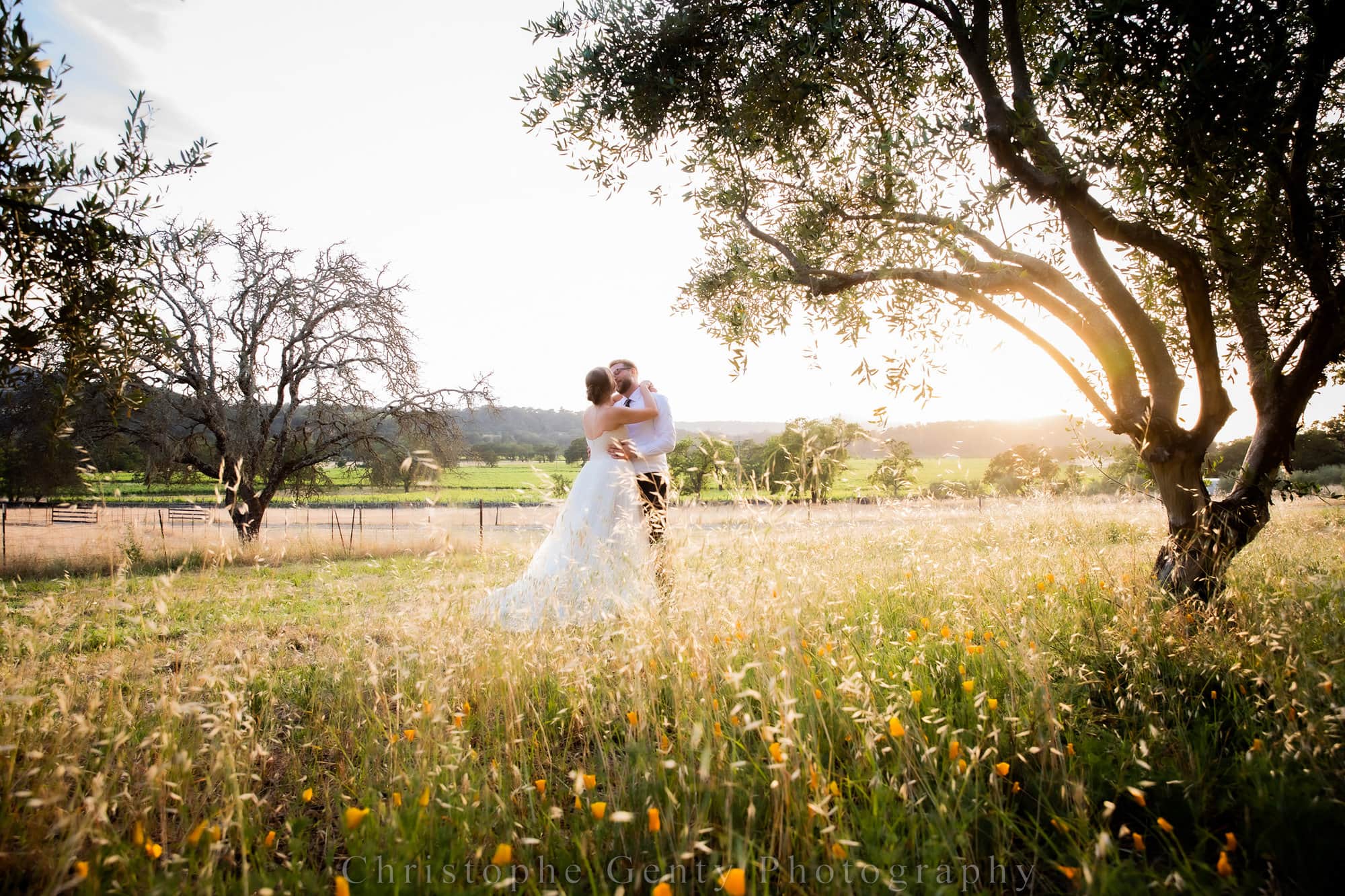 Wedding photography the Beltane Ranch in Glen Ellen